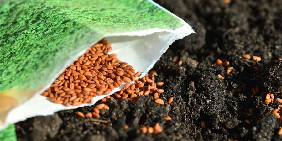 Algérie: Agriculture : Signature de 8 conventions avec des instituts et laboratoires universitaires pour développer les semences