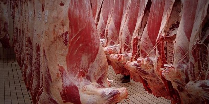 تونس-رئيس غرفة القصابين لـ"الصباح نيوز": أسعار اللحوم الحمراء ستقفز إلى 40 دينارا.. ولهذا سيتوقف 500 قصاب عن العمل !!
