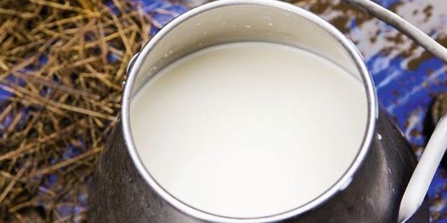 MAROC-Filière laitière : "La quantité de lait collectée a baissé d'environ 20% selon les régions" (Sadiki)