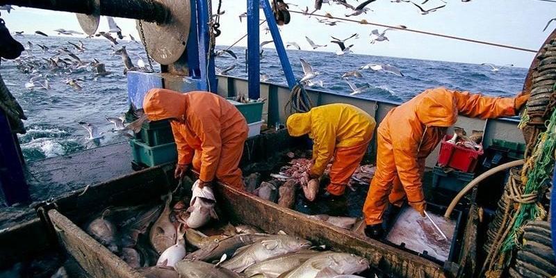 MAROC - ONP: Plus de 1,5 MT de débarquements de pêche en 2022
