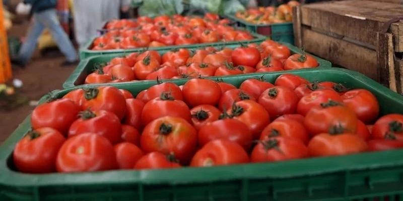 MAROC - Les exportations de fruits et légumes en Espagne ont atteint les sommets ces 10 dernières années