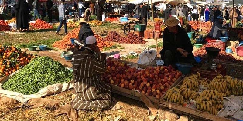 MAROC - BM-Maroc : l'écart des prix entre l’agriculteur et l’assiette est injustifié