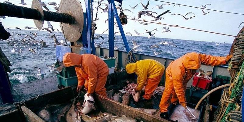 MAROC - ONP : Les débarquements de pêche en baisse de 36% en janvier 2023