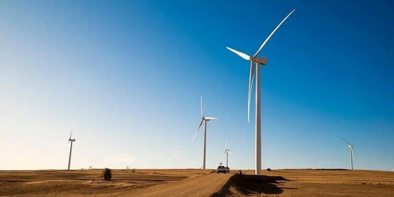 ÉGYPTE : RSWE boucle le financement de son parc éolien (500 MW) dans le golfe de Suez