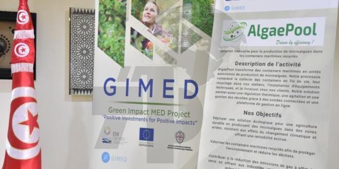 تونس : مشروع "التأثير الأخضر" يعلن غدا الاثنين عن المؤسستين الناشئتين الفائزتين بدعمه في مجال احداث المشاريع الخضراء في تونس