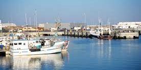 Algérie: Plus de 400 demandes de création de coopératives introduites par des professionnels de la pêche