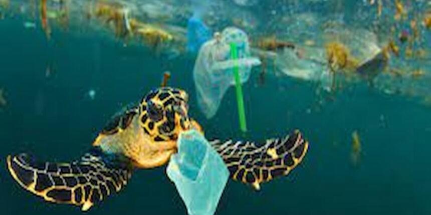 Tunisie , IACE : Les enjeux de la lutte contre la pollution plastique en Tunisie