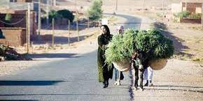 تدهور مستوى معيشة 86% من الأسر المغربية خلال 12 شهراً السابقة