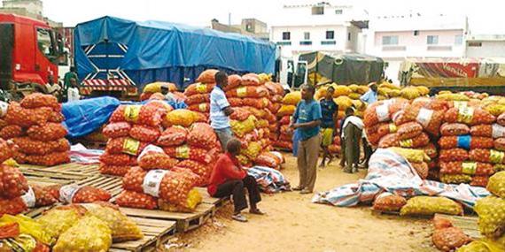 Sénégal:Agriculture, Création d’usine de déshydratation d’oignons