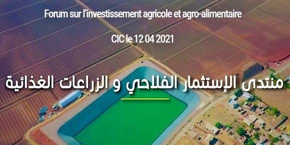 الجزائر : منتدى حول الاستثمار الفلاحي و الزراعات الغذائية