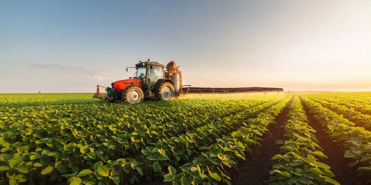 Algérie : L'investissement agricole et agroalimentaire, levier de la croissance économique nationale