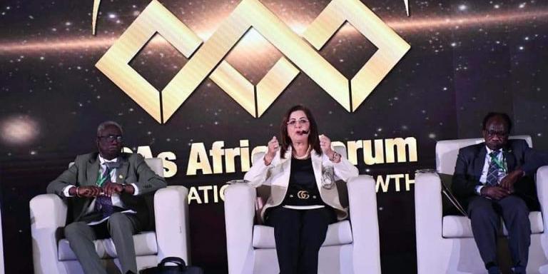 Egypt’s infrastructure investments recorded EGP 1.7trn over 7 years: Planning Minister
