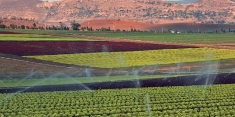 Maroc : Agrégation agricole, Un nouveau dispositif réglementaire pour des projets d’agrégation de nouvelle génération