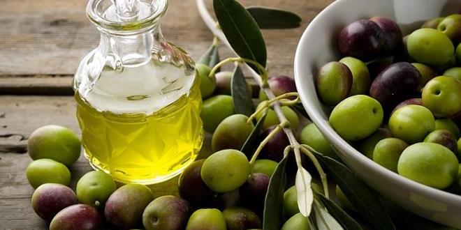 Tunisie :  la production d’olives dépassera 150 mille tonnes