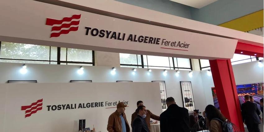 Algérie: Ziane prêt à accompagner Tosyali Algérie pour la mise oeuvre d'une centrale photovoltaïque