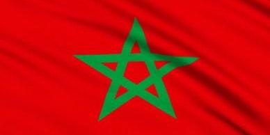 Maroc : Riyad: Adhésion du Maroc à l’Organisation de la coopération numérique