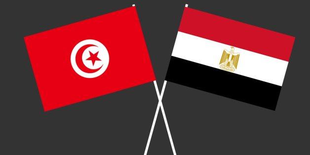 Egypt, Tunisia to strengthen regional economic, technical development cooperation at 17th Joint Higher Committee