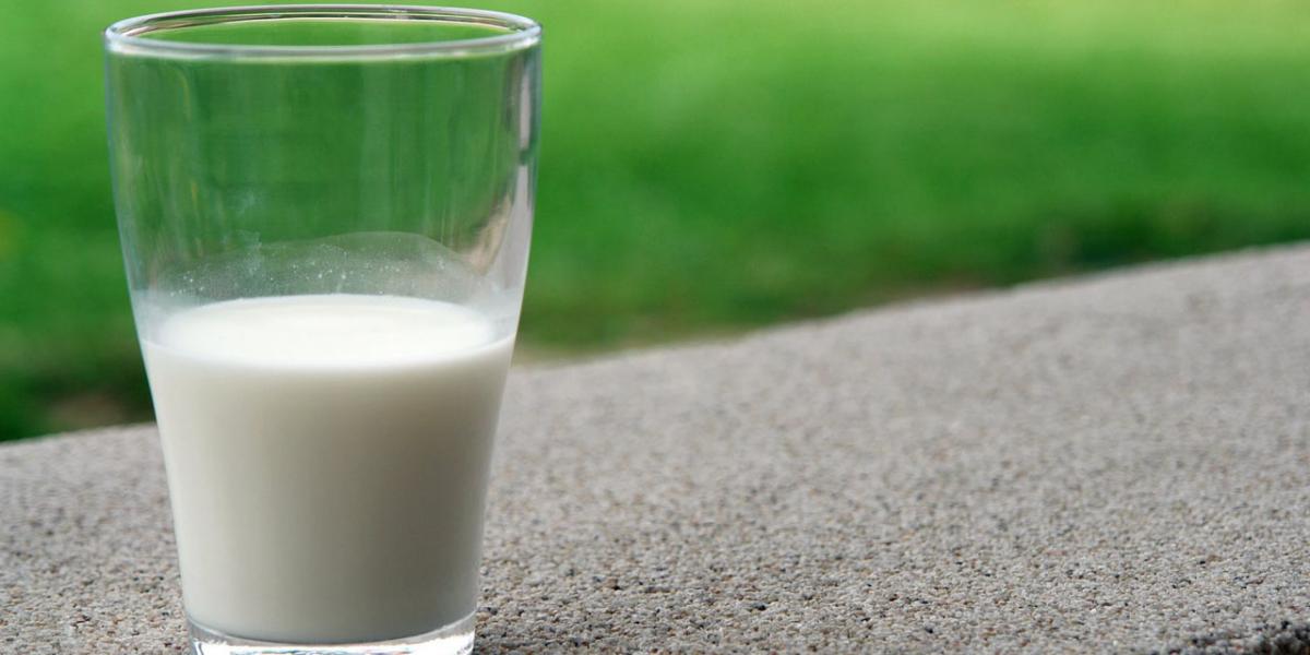 Nigeria : FCT adds 3000 litres of milk to dairy collection