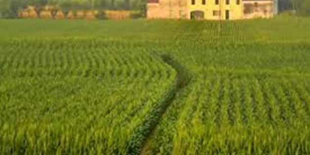 Egypt aims to invest LE82.9B in agricultural sector during 2022-2023