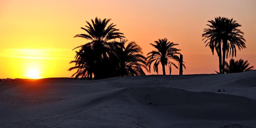 Tunisie: Tozeur | Tourisme saharien : Les  défis du chott reviennent