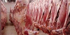 ALGERIE-Stabilisation des prix des viandes : Agir sur l'aliment du bétail