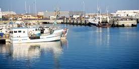 الجزائر, صيد بحري: فتح باب التكوين لكل المهنيين