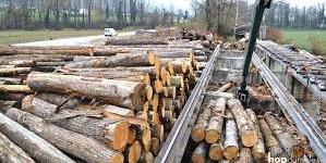 algerie_Port de Béjaia : croissance de 48 pour cent dans la transformation du bois